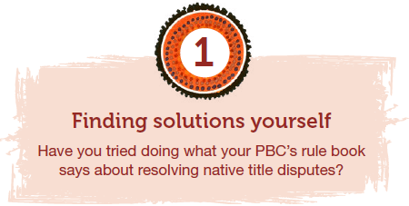 Finding solutions yourself. Have you tried doing what your PBC's rule book says about resolving native title disputes?