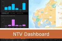 NTV Dashboard